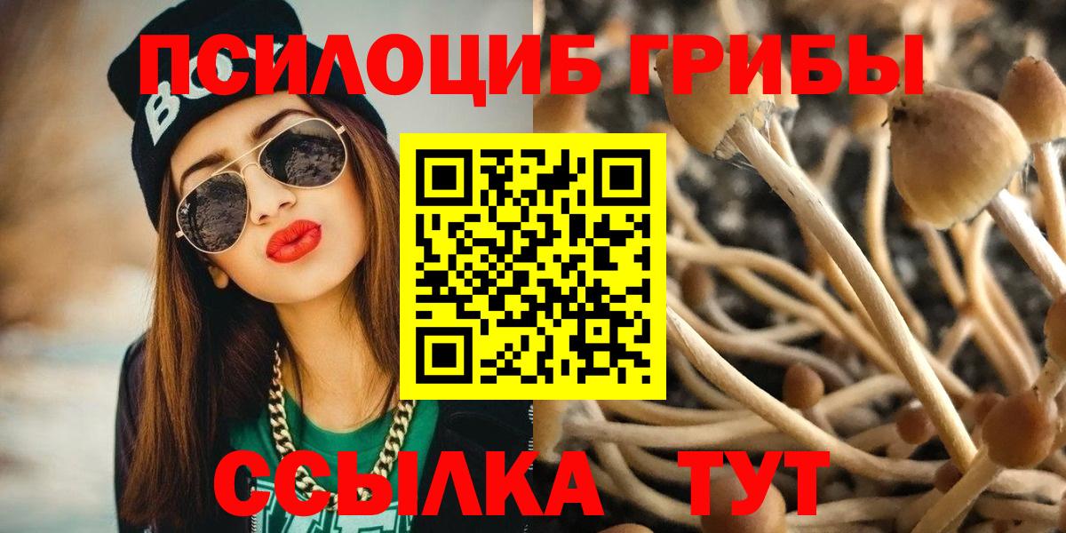 Псилоцибиновые грибы прущие грибы  Галлюциногенные грибы мицелий  Вход с VPN  Десногорск 